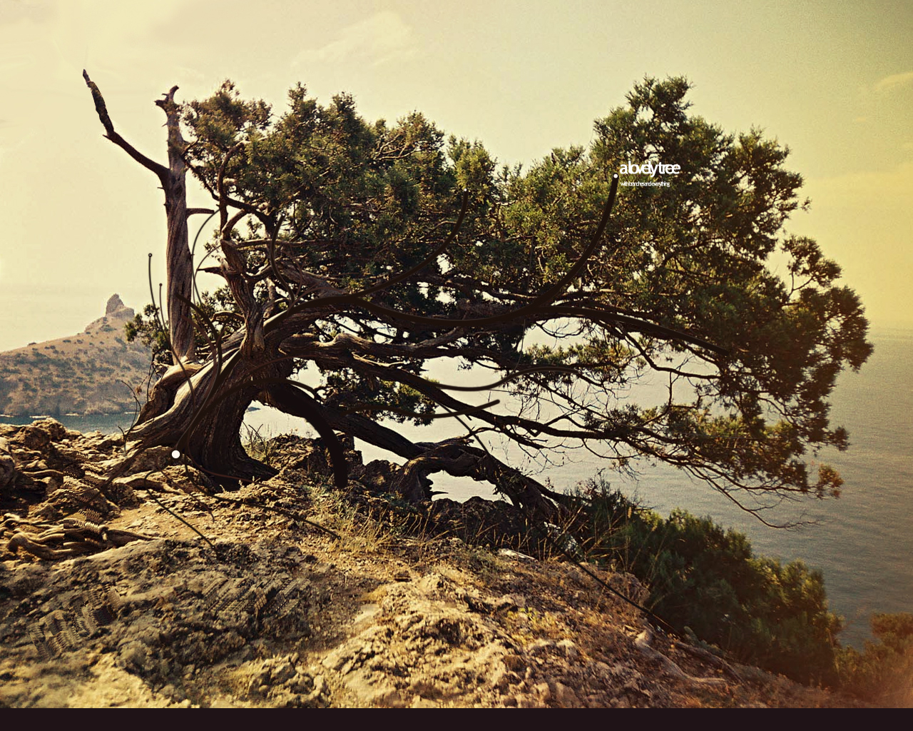 Desktopography -  ����� 2 :: ���������� 2