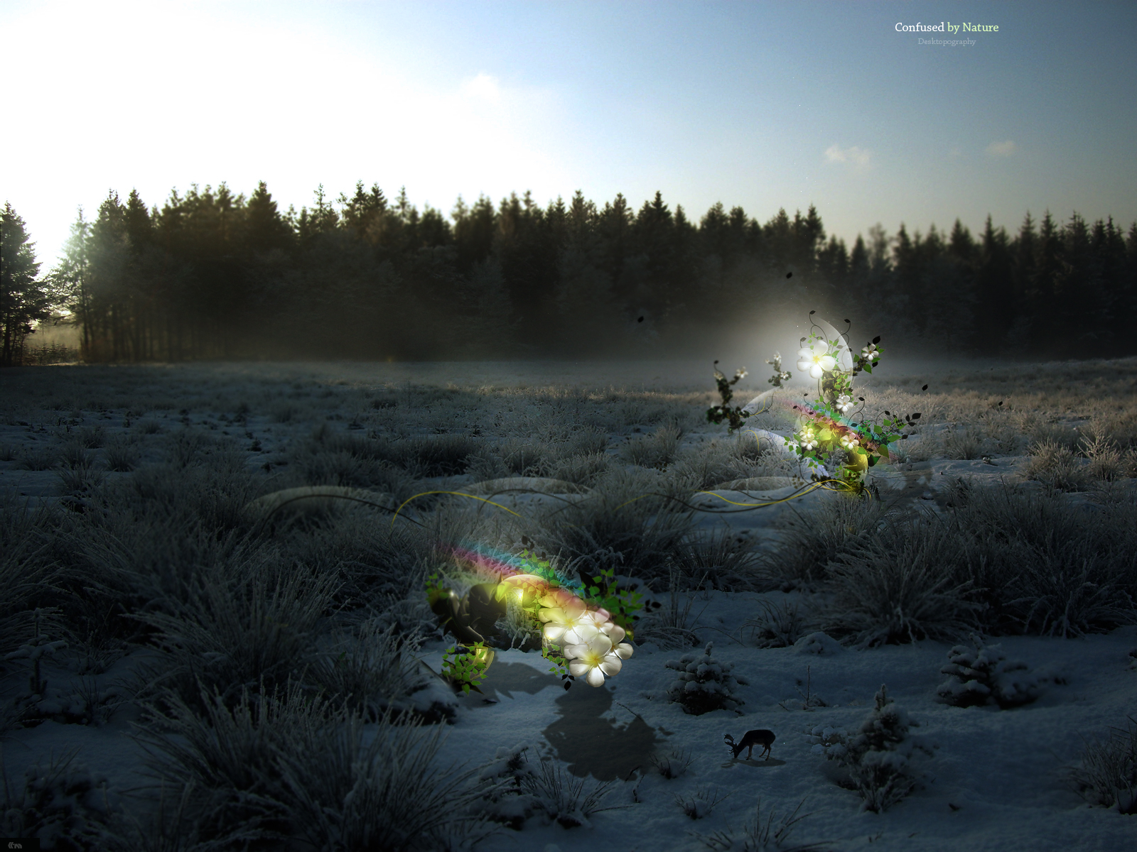 Desktopography -  ����� 2 :: ���������� 2