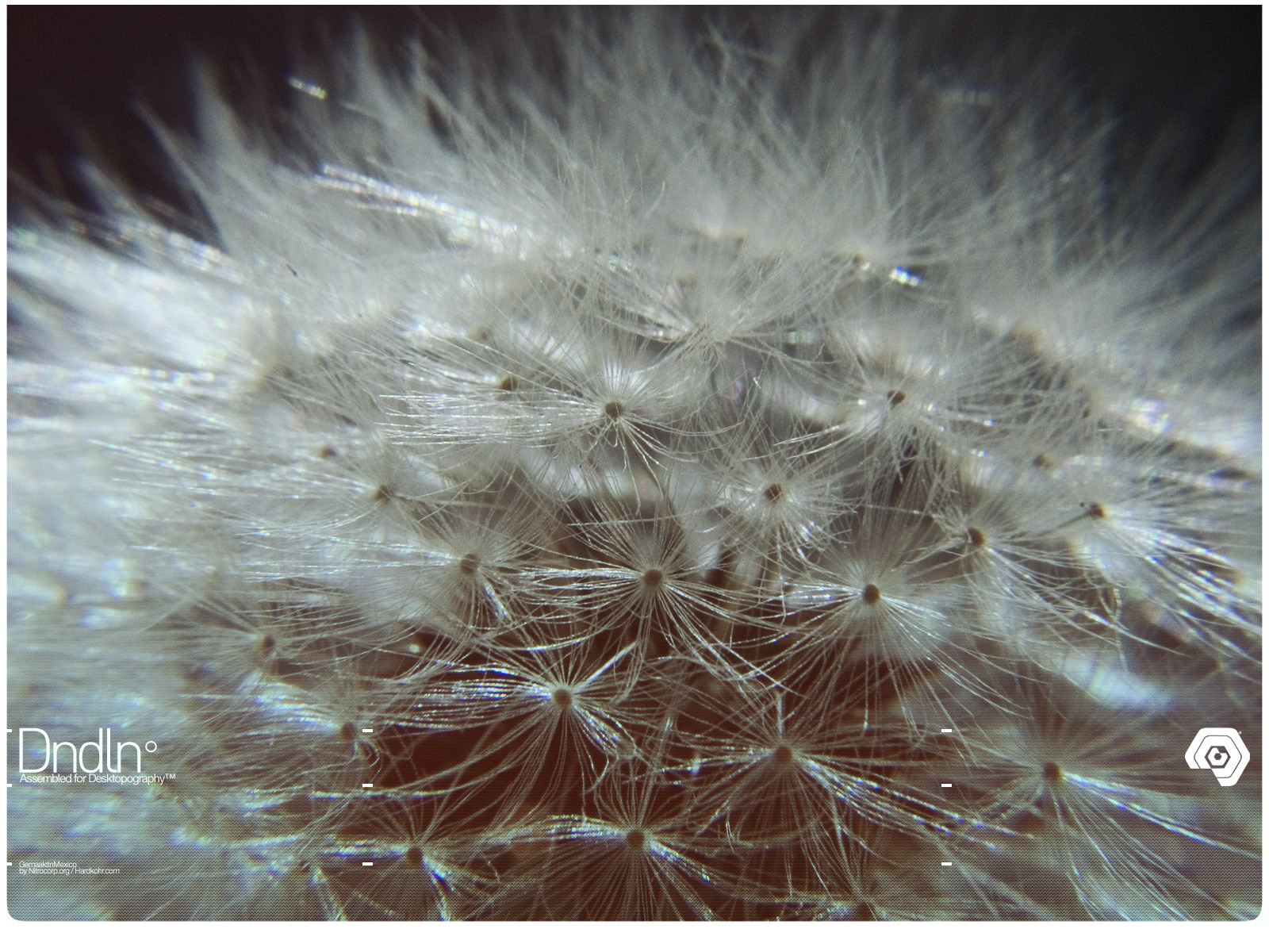 Desktopography -  ����� 2 :: ���������� 2