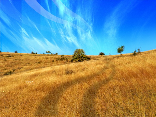 Desktopography -  ����� 2 ���� 81