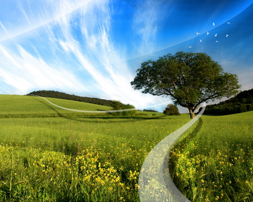 Desktopography -  ����� 2 ���� 82