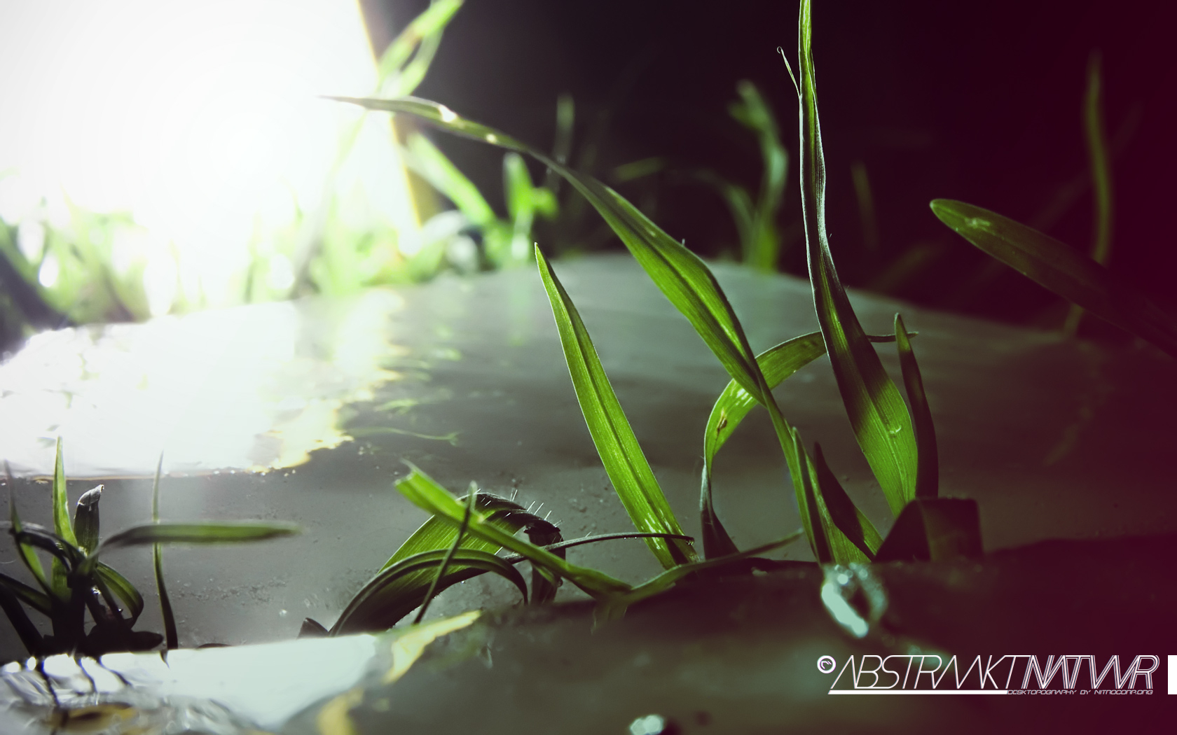 Desktopography -  ����� 2 :: ���������� 2