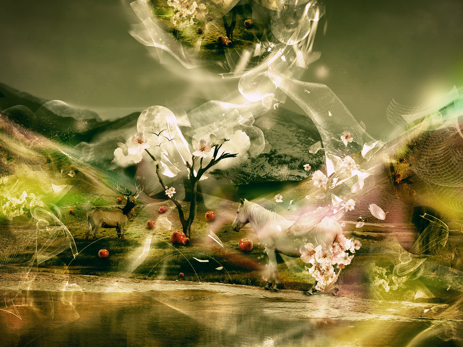 Desktopography -  ����� 2 :: ���������� 2