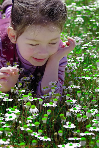 ���� :: ������� ���� 7