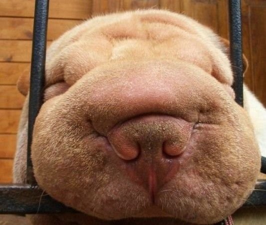 �������� ��� :: ������ :: ���������� 1