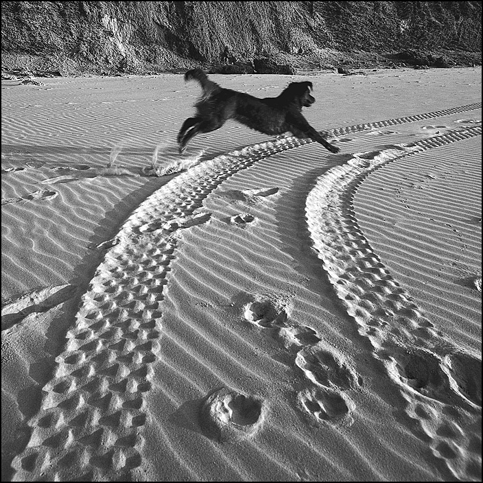 �������� ��� :: ������ :: ���������� 1