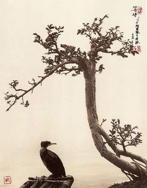 ���������� :: �������� Don Hong-Ouai ���� 5
