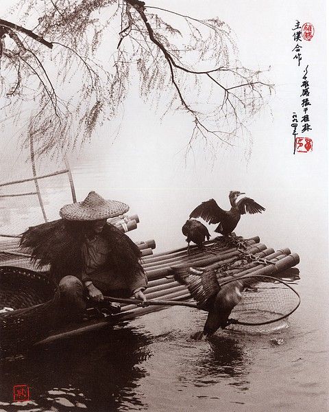 ���������� :: �������� Don Hong-Ouai ���� 6