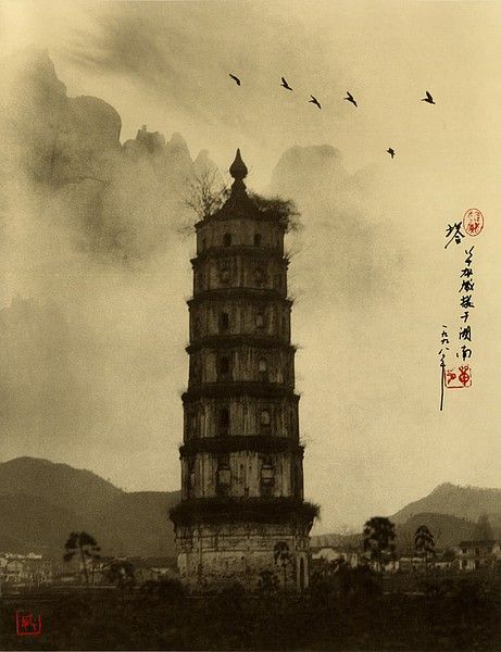 ���������� :: �������� Don Hong-Ouai ���� 8