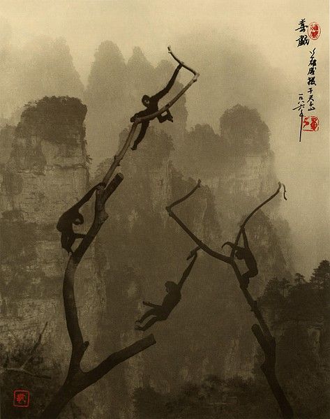 ���������� :: �������� Don Hong-Ouai ���� 10