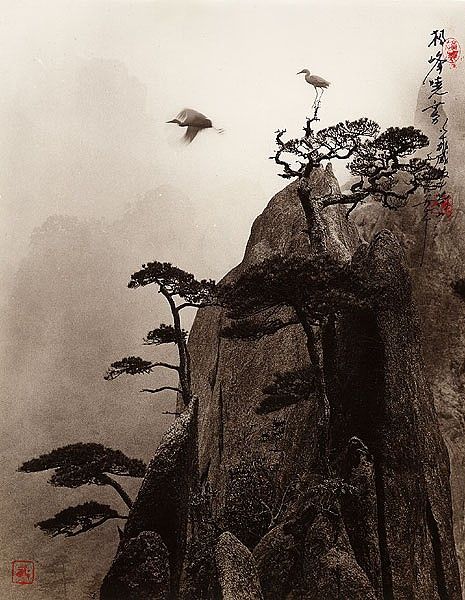 ���������� :: �������� Don Hong-Ouai ���� 11