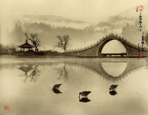  ::  Don Hong-Ouai