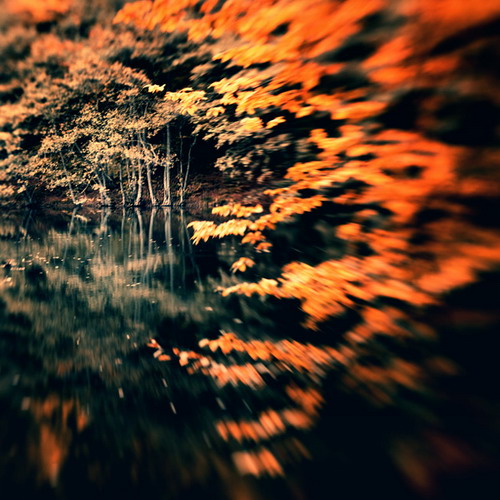 �������� Ebru Sidar ���� 17