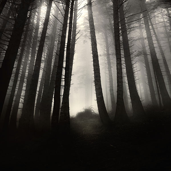 �������� Ebru Sidar :: ���������� 1