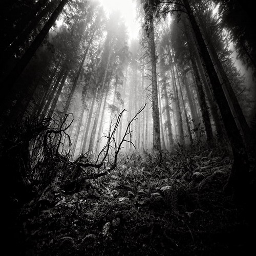 �������� Ebru Sidar ���� 41