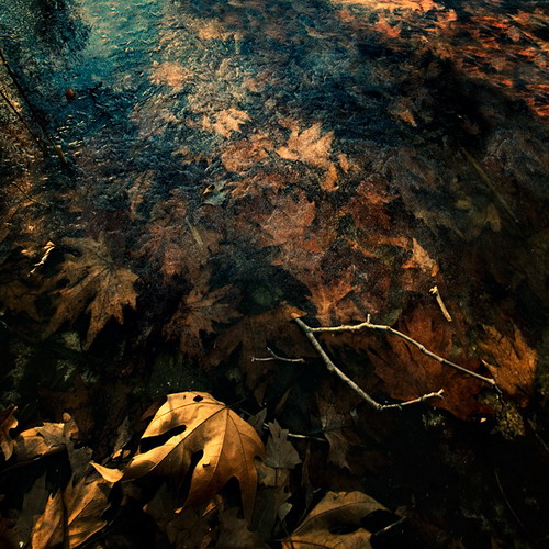 �������� Ebru Sidar ���� 46