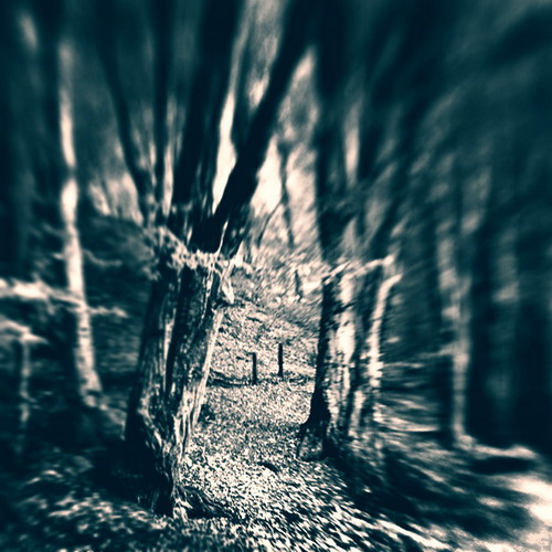 �������� Ebru Sidar ���� 56
