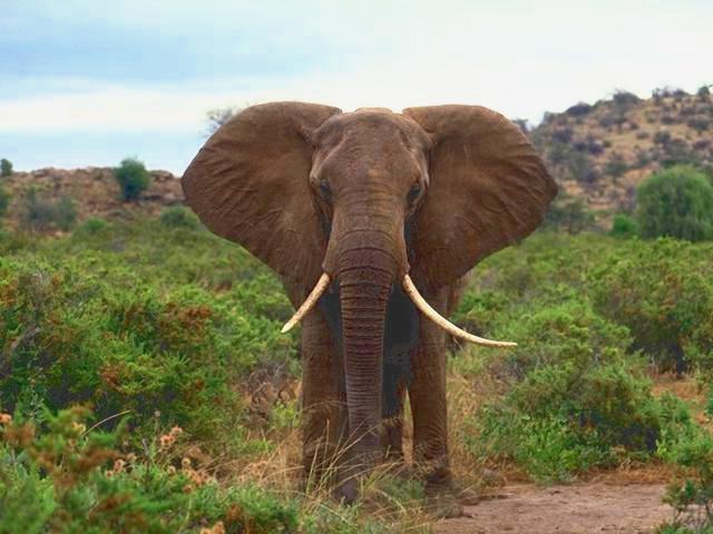 �������� ��� :: ����� :: ���������� 1