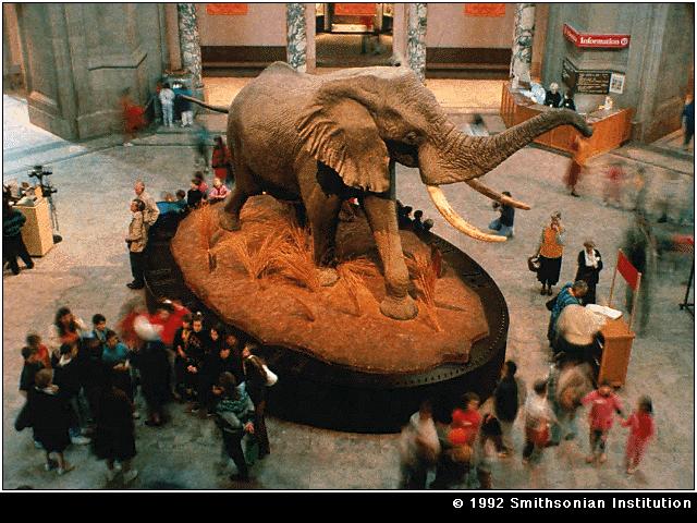�������� ��� :: ����� :: ���������� 1