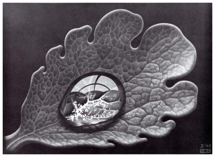 ��������� :: ������� ����� (Escher) :: ���������� 1