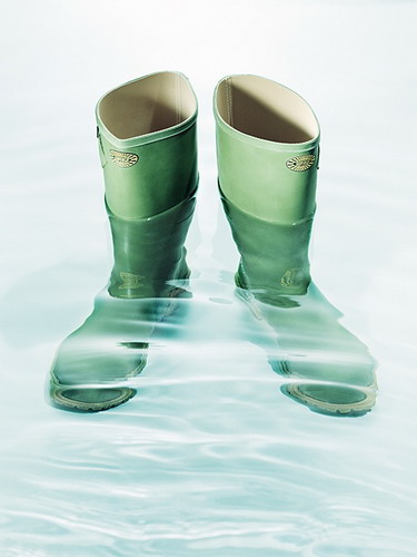 ���� :: �������� Felix Streuli ���� 12