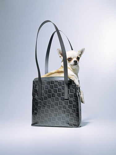 ���� :: �������� Felix Streuli ���� 21