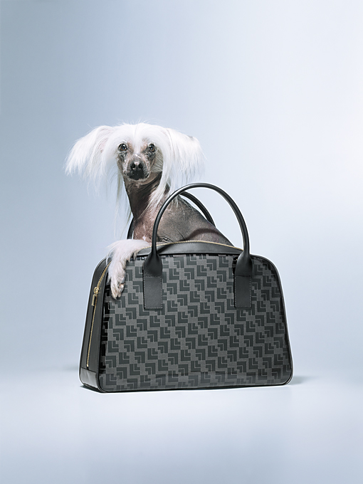 ���� :: �������� Felix Streuli :: ���������� 1