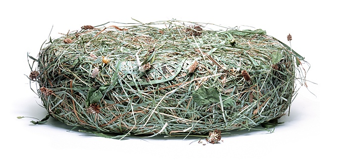 ���� :: �������� Felix Streuli :: ���������� 1