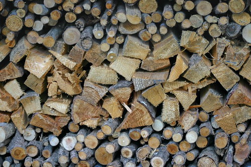������ ������ :: ����� ���� 55