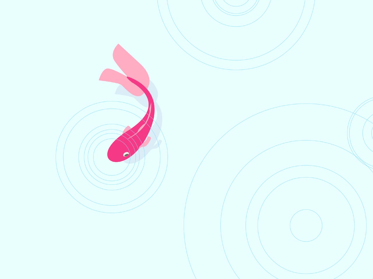 ������ ���� :: ���������� 1