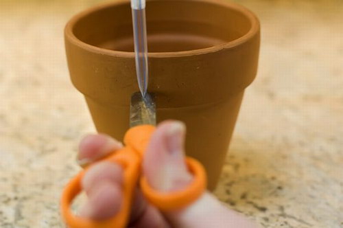 ��������� ������ ���� 12