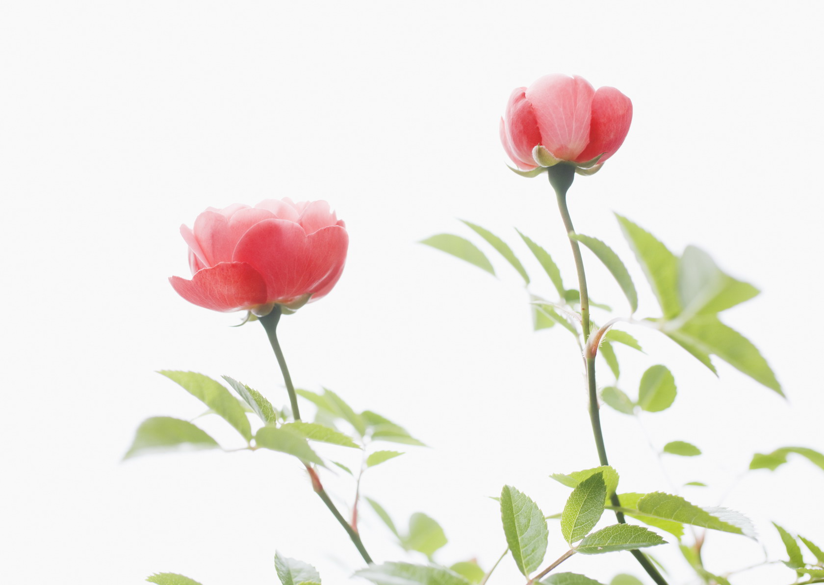 ���� � 8 ����� :: ���������� 1