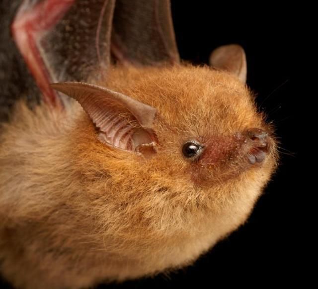�������� ������� ����� :: ���������� 1