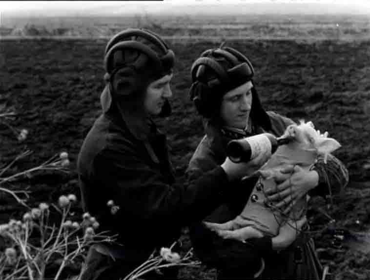 ������������ :: ������ ������ :: ���������� 1
