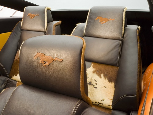 Ford Mustang Giugiaro ���� 13