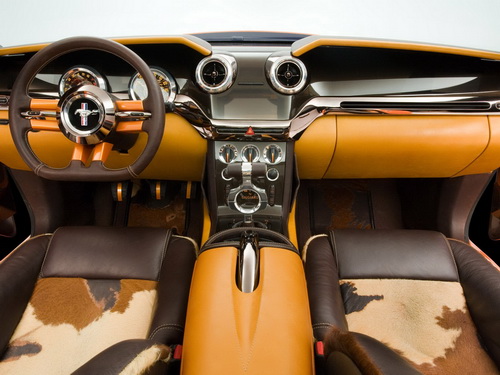 Ford Mustang Giugiaro ���� 15