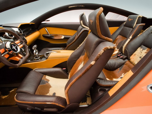 Ford Mustang Giugiaro ���� 16