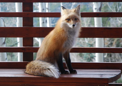 �������� ��� :: ���� ���� 7