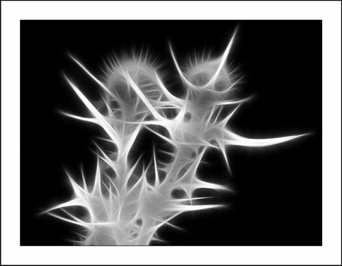 ������� :: Fractalius art ���� 2
