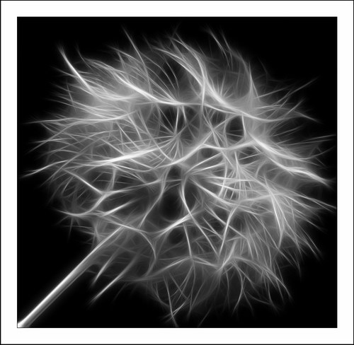 ������� :: Fractalius art ���� 3