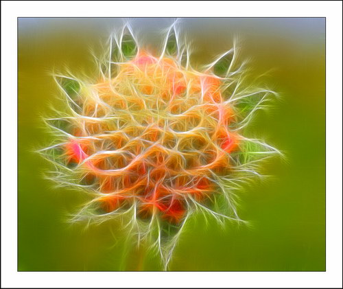 ������� :: Fractalius art ���� 4