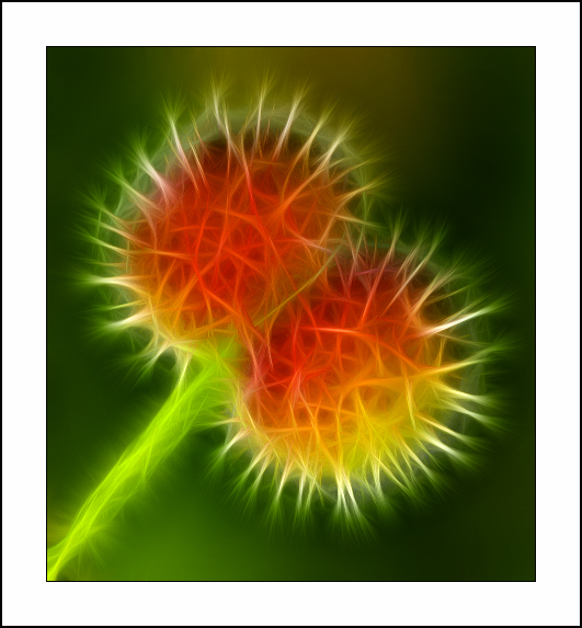 ������� :: Fractalius art :: ���������� 1