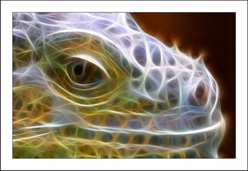 ������� :: Fractalius art ���� 7