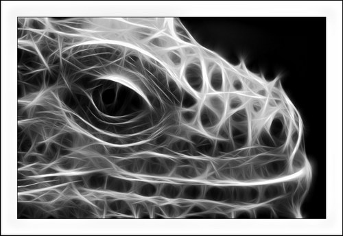 ������� :: Fractalius art ���� 8