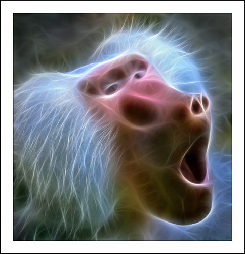 ������� :: Fractalius art ���� 9