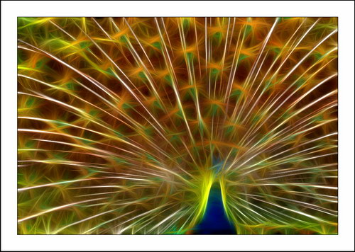 ������� :: Fractalius art ���� 10