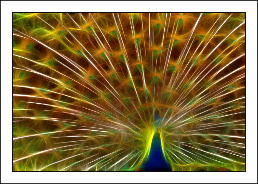 ������� :: Fractalius art :: ���������� 1