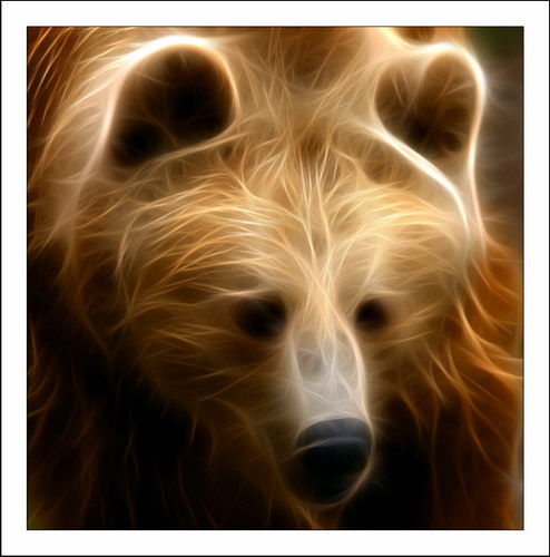 ������� :: Fractalius art ���� 11