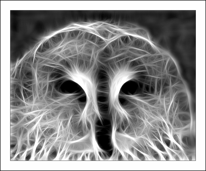 ������� :: Fractalius art :: ���������� 1