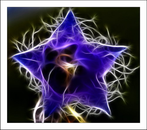 ������� :: Fractalius art ���� 13